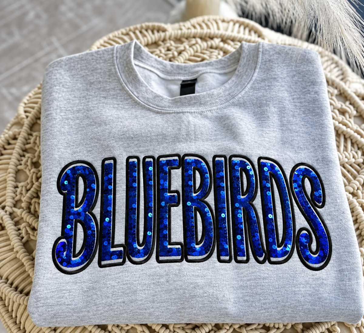 Bluebirds Sequin Embroidered Sweatshirt