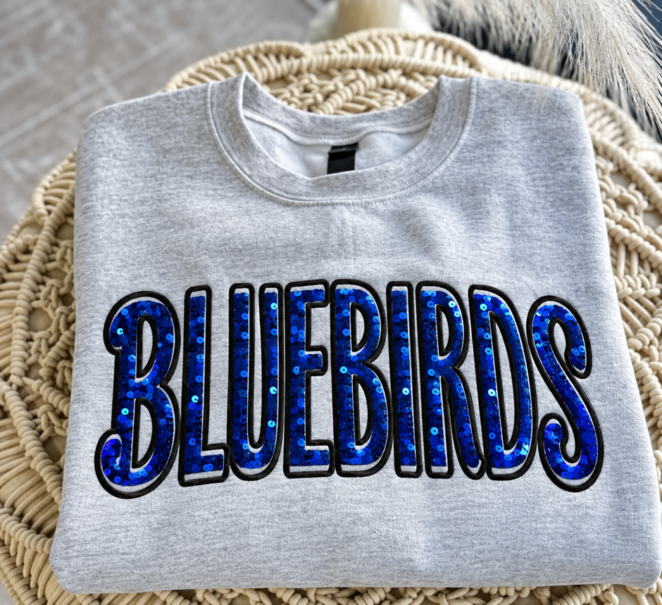 Bluebirds Sequin Embroidered Sweatshirt