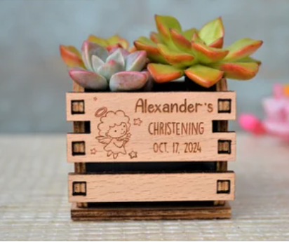 Wooden planter box with engraved text and succulents